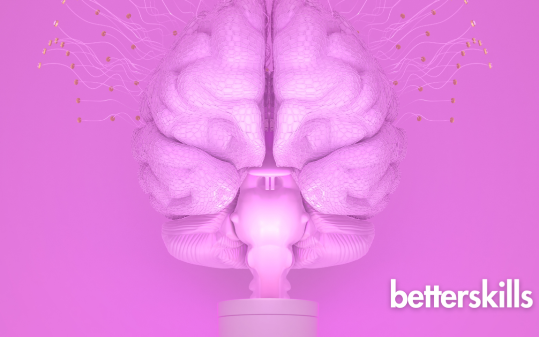 6 Adımda Mükemmel Özgeçmişi Hazırlayın!